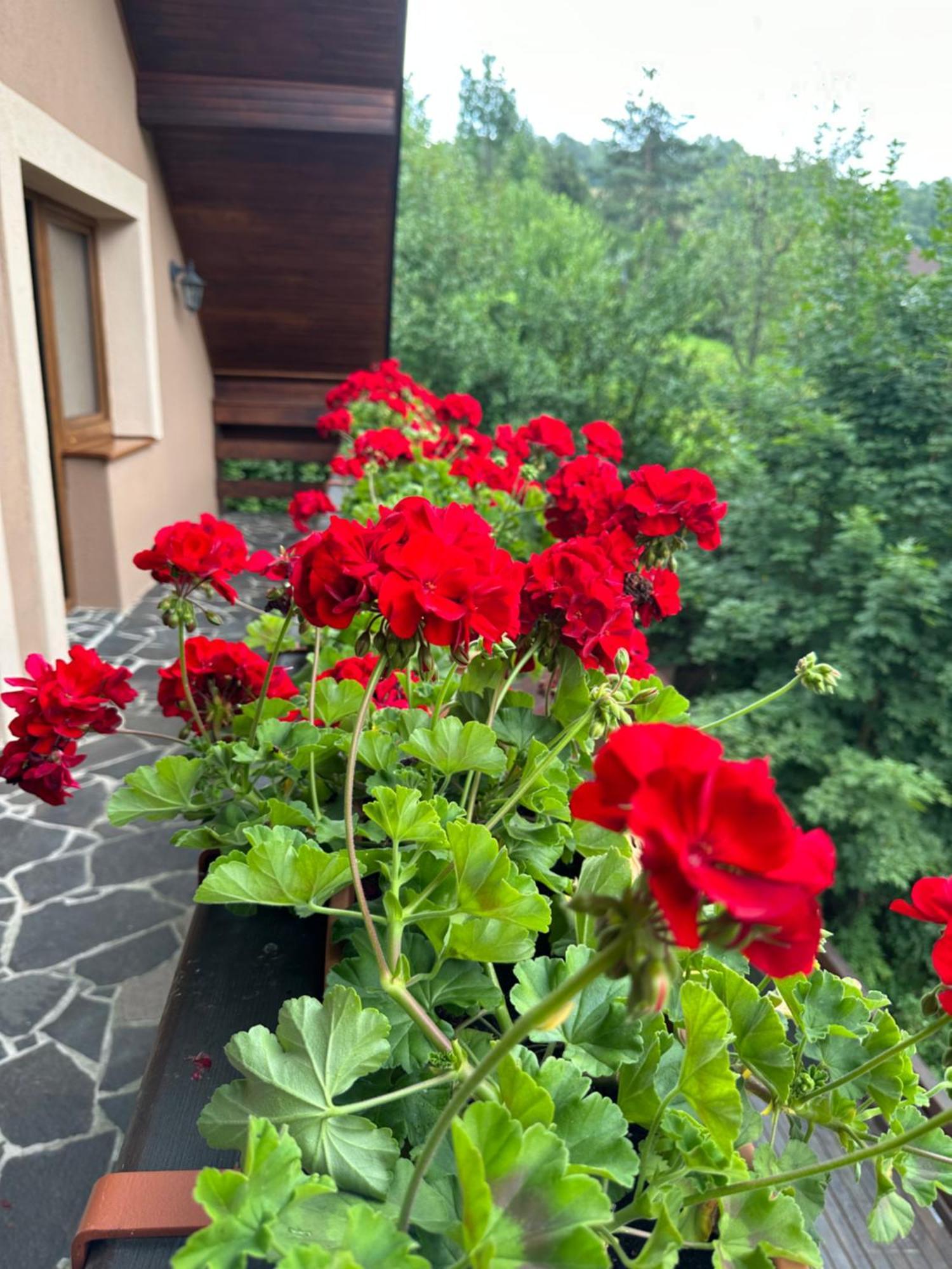 Mýto pod Ďumbierom Holiday Home Skalka מראה חיצוני תמונה